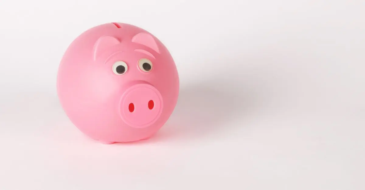 Comptes épargne : Comprendre les différents types